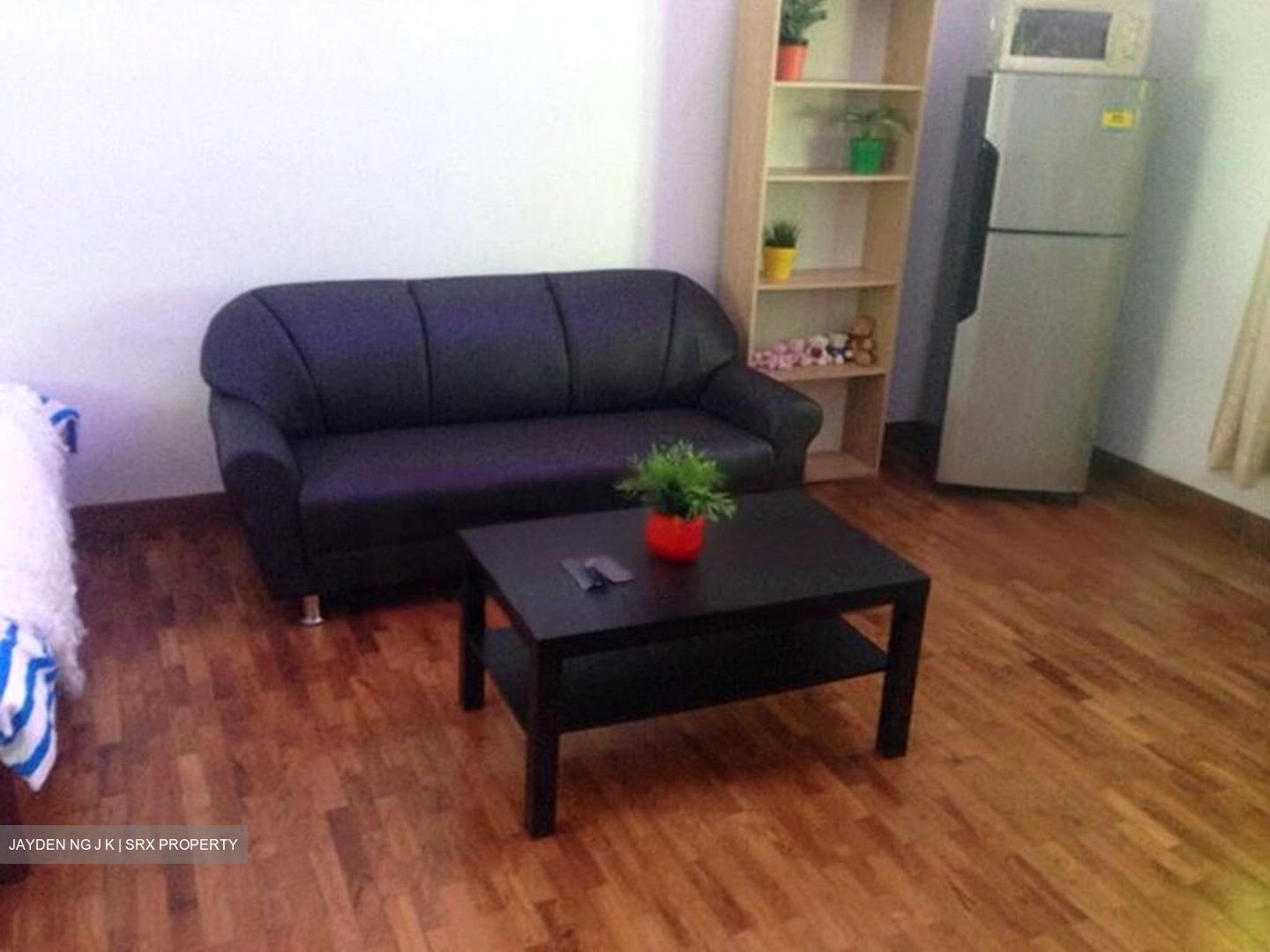 Euro-Asia Park (D13), Condominium #561591231